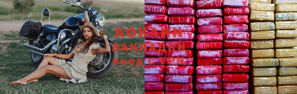 спиды Козельск