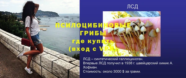 крисы Кулебаки