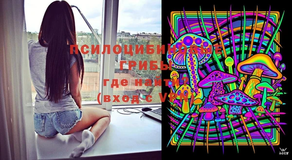 спиды Козельск