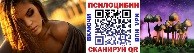 Купить где  Каргат  Галлюциногенные грибы Magic Shrooms 