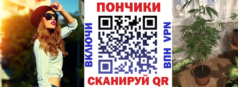 Марихуана планчик  Купить где  Каргат 